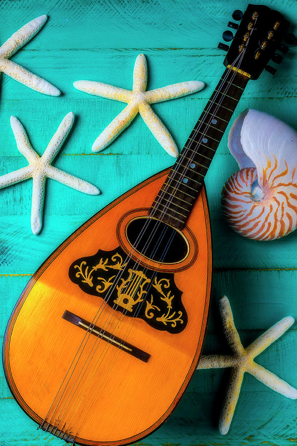 Mandolin And White Starfish Photograph by Garry Gay