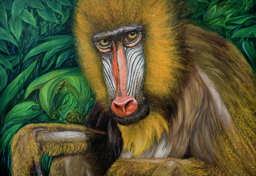 Mandril Painting by Olaf Plantener