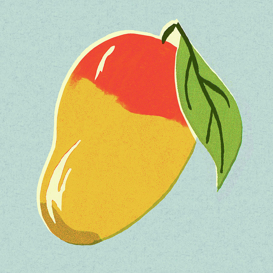 Realistic drawing of mango. Stock Vector by ©sasha-kasha 189631442