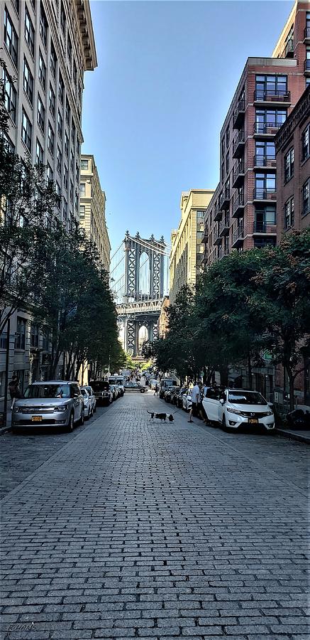 Manhattan Bridg 42 Photograph by Rob Hans