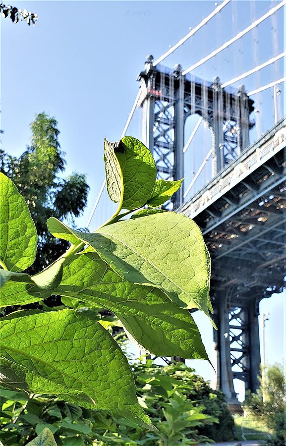 Manhattan Bridge 95 Photograph by Rob Hans