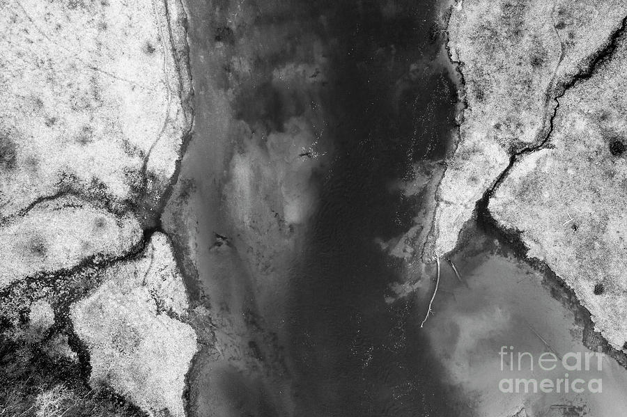 Tree Photograph - Manistee River Aerial Black and White by Twenty Two North Photography