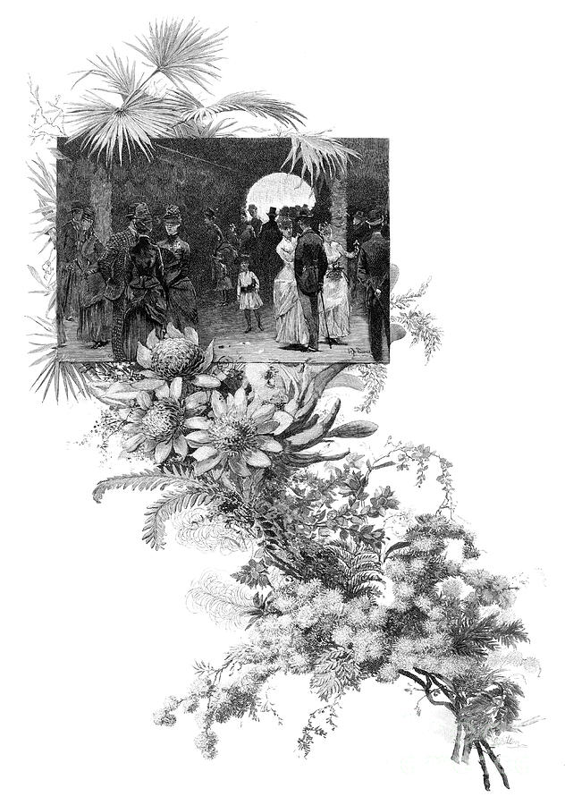 Manly Wild Flower Show, Sydney, New Drawing by Print Collector