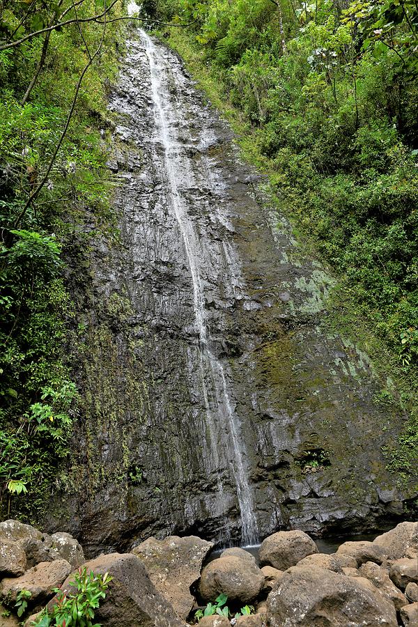 Manoa Falls Oahu Photograph by Heidi Fickinger