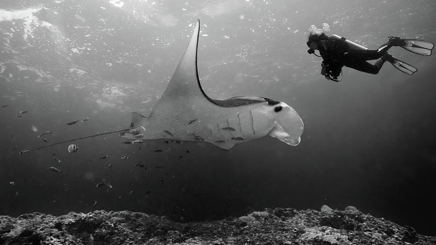 Black And White Photograph - Manta Point by Marcel Rebro