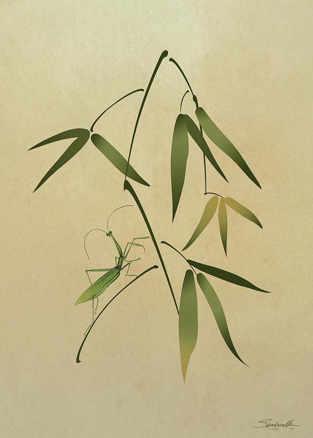 Mantis and Bamboo Digital Art by M Spadecaller