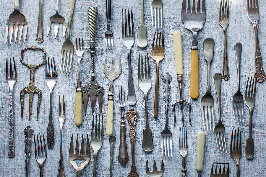 Many Different Old Forks Photograph by Lara Jane Thorpe