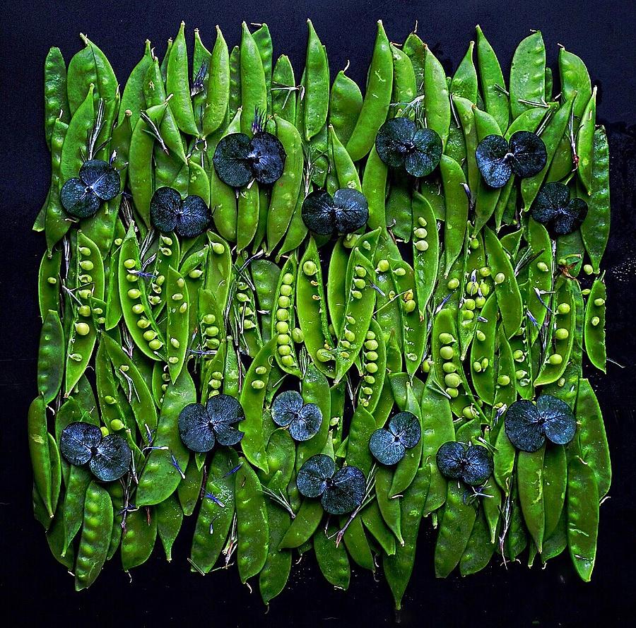 Many Peas by Sarah Phillips Many Peas by Sarah Phillips