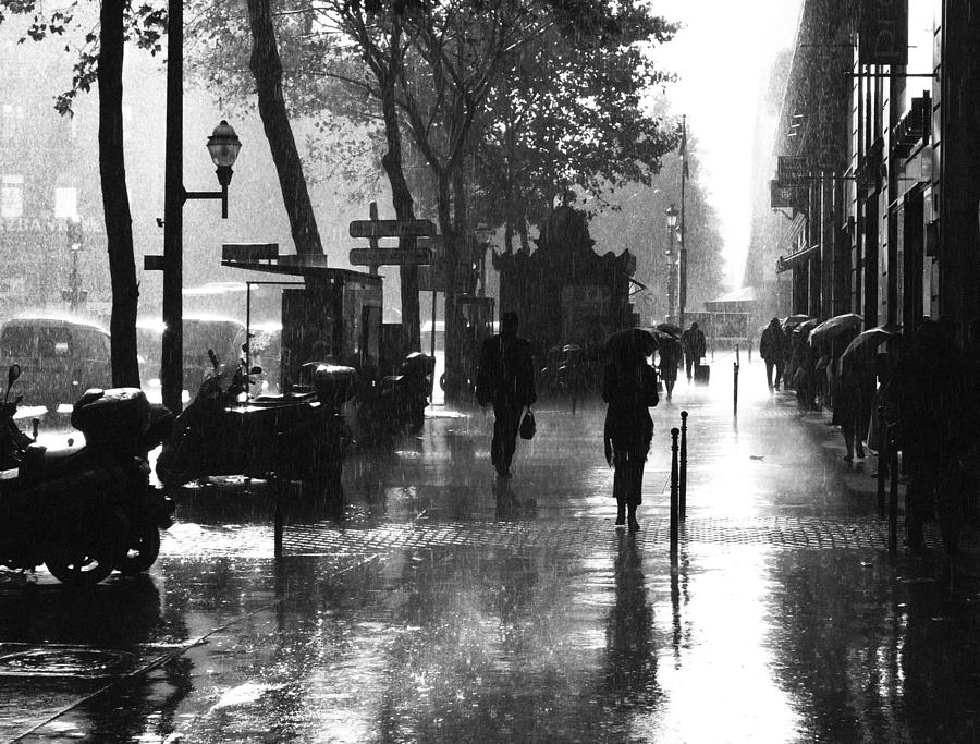 Many Thanks To The Rain Photograph by Julien Brachhammer