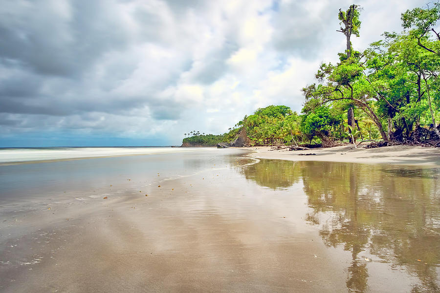 Manzanilla Beach Trinidad by Nadia Sanowar Manzanilla Beach Trinidad by Nadia Sanowar