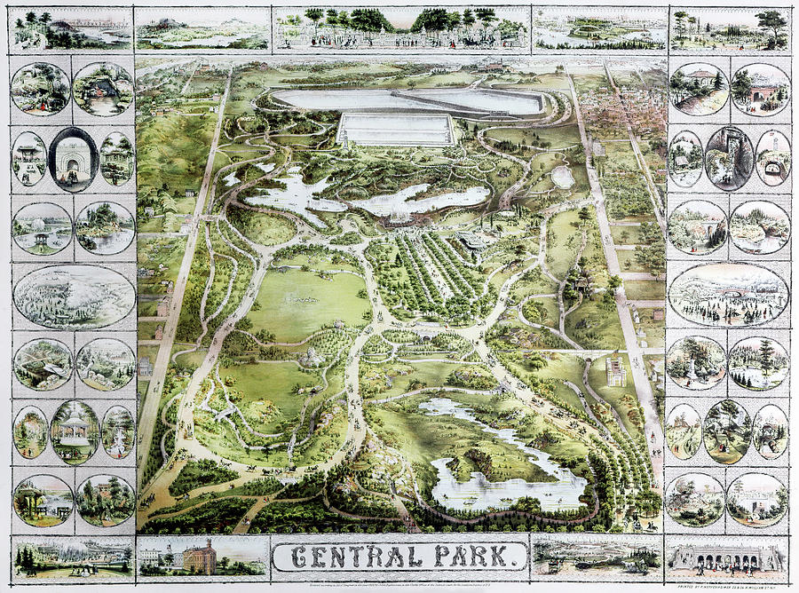 Central Park Map, 1863 Painting by Granger