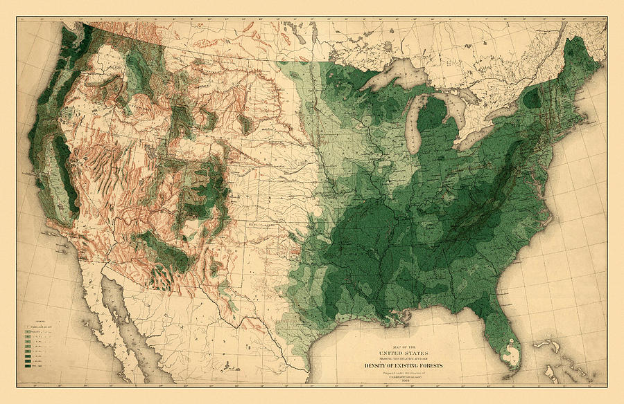 Map Of American Forests 1883 Photograph by Andrew Fare