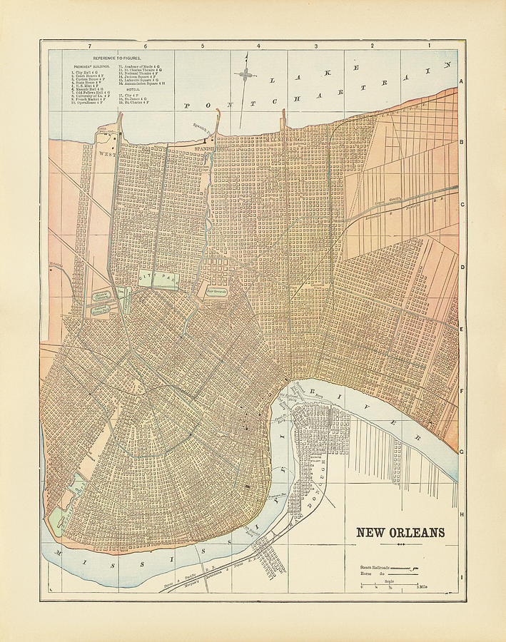 City Painting - Map Of New Orleans by Wild Apple Portfolio