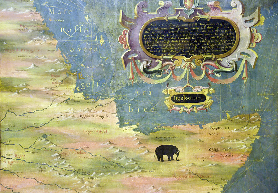 Elephant Photograph - Map Of The Arabia In Palazzo Vecchio by Panoramic Images