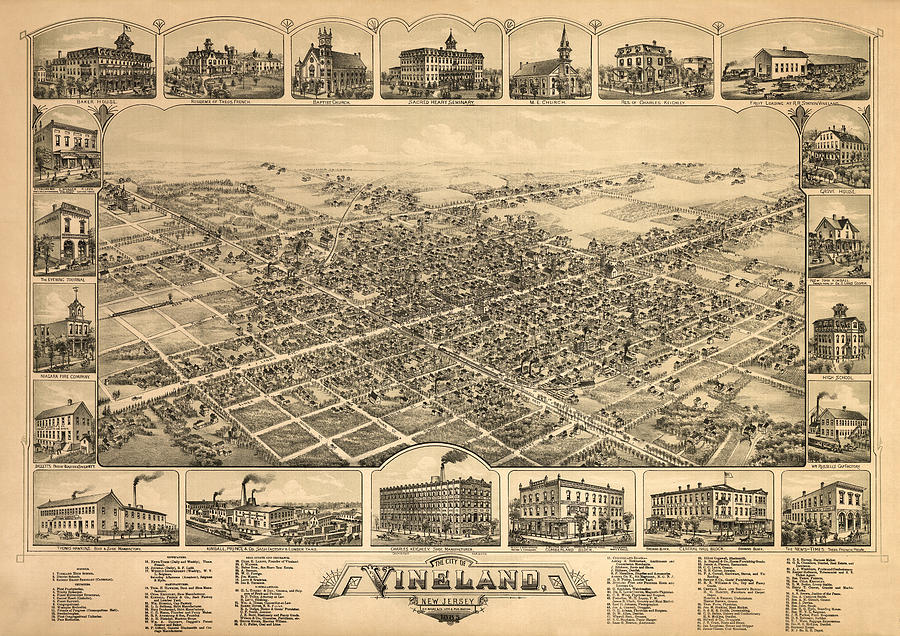 Map Of Vineland 1885 Photograph by Andrew Fare