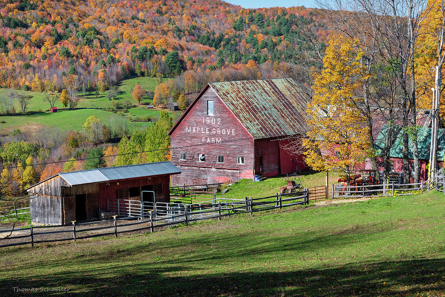 Maple Grove Farm - Vermont Photograph by Photos by Thom