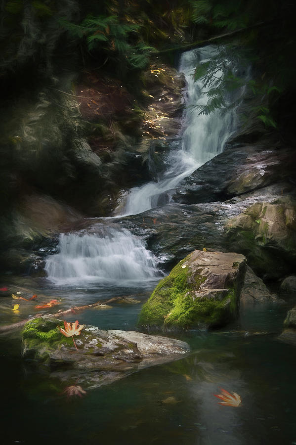 Maple leaf falls by David Brookwell Maple leaf falls by David Brookwell