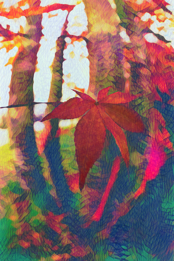 Maple Leaf in Autumn in Abstract Vivid Colors Photograph by Debra and Dave Vanderlaan