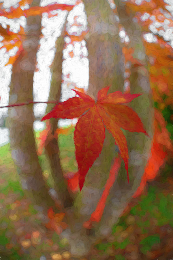 Maple Leaf in Autumn Oil Painting Photograph by Debra and Dave Vanderlaan