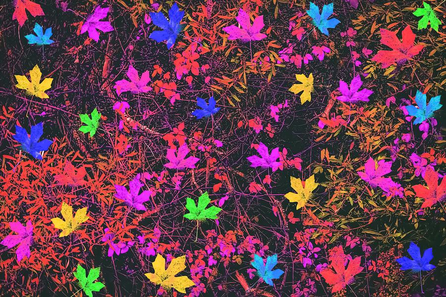 Maple Leaf In Yellow Green Pink Blue Red With Red And Orange Creepers  Plants Background Mixed Media by Tim LA - Pixels