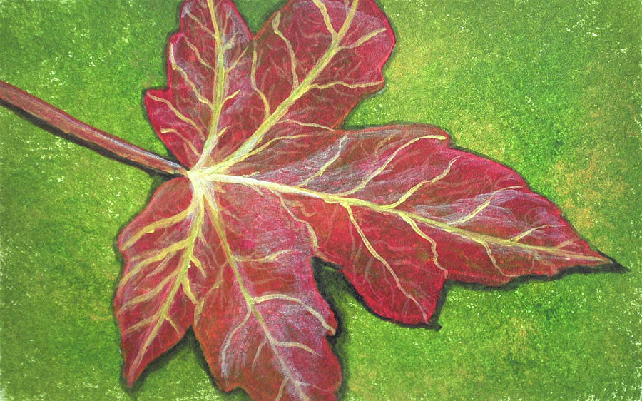 Maple Leaf Painting by Jessie Adelmann