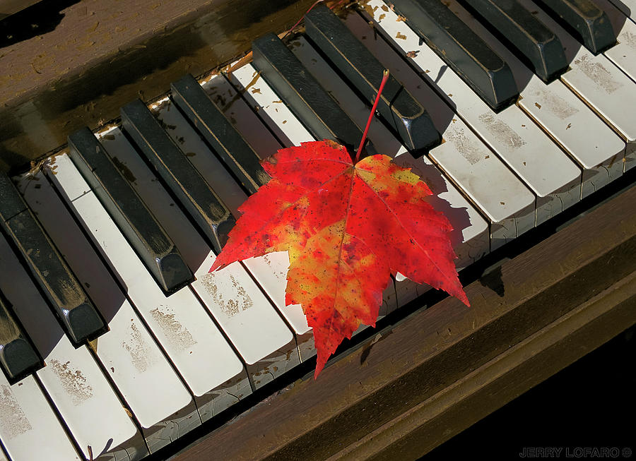 Key Photograph - Maple Leaf Rag by Jerry LoFaro