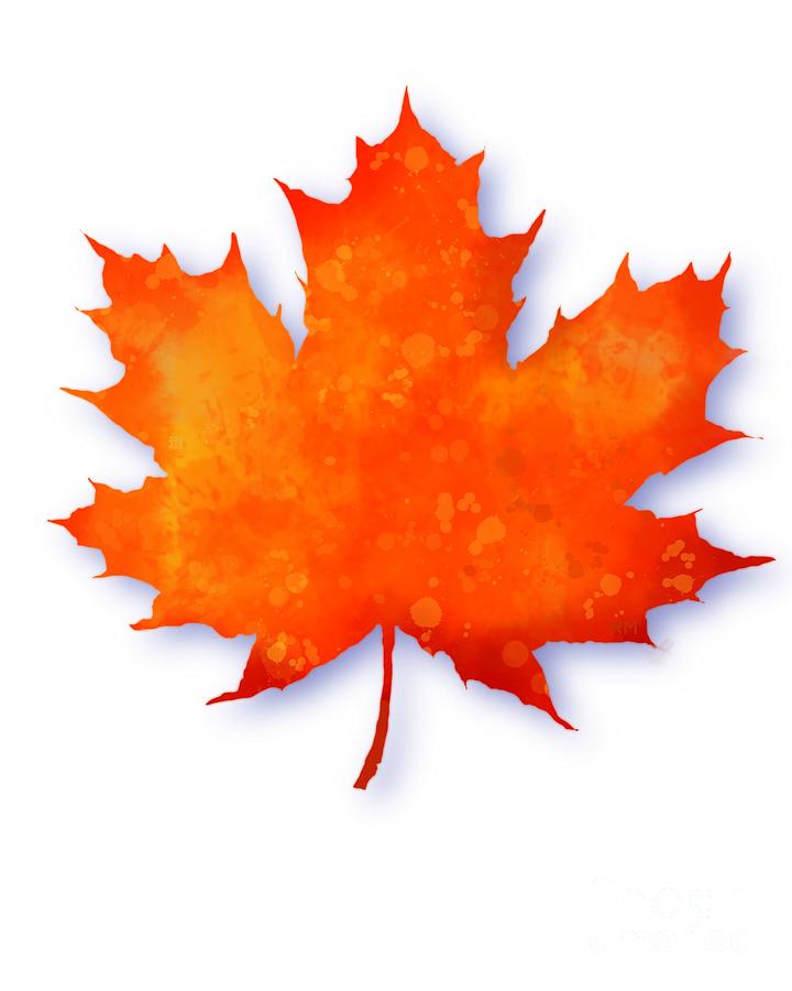 Maple Leaf Digital Art by Ry M