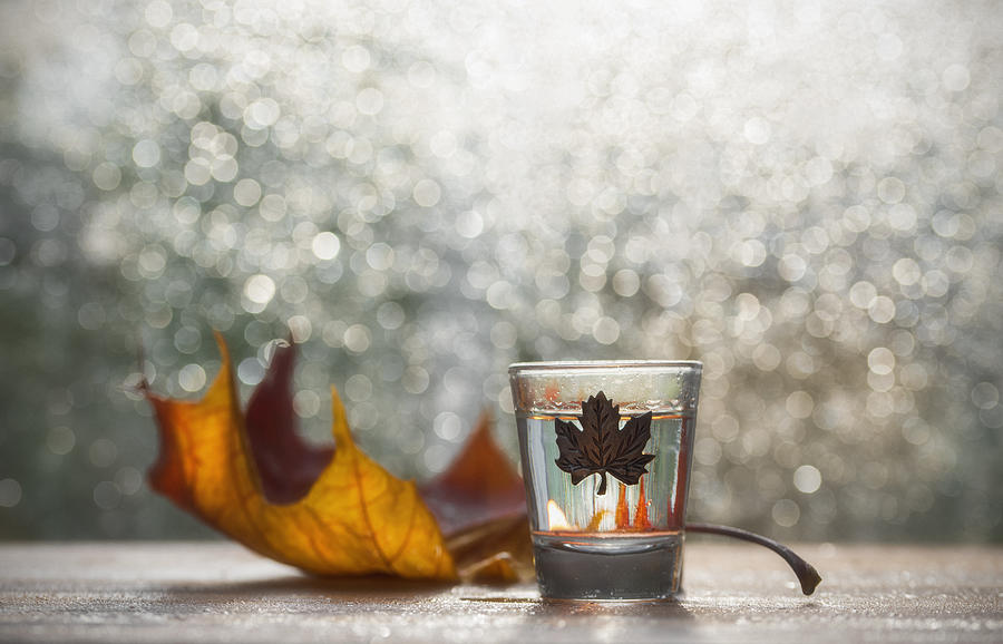 Maple Leaves & Autumn Photograph by Nikki Georgieva V E G A N I K