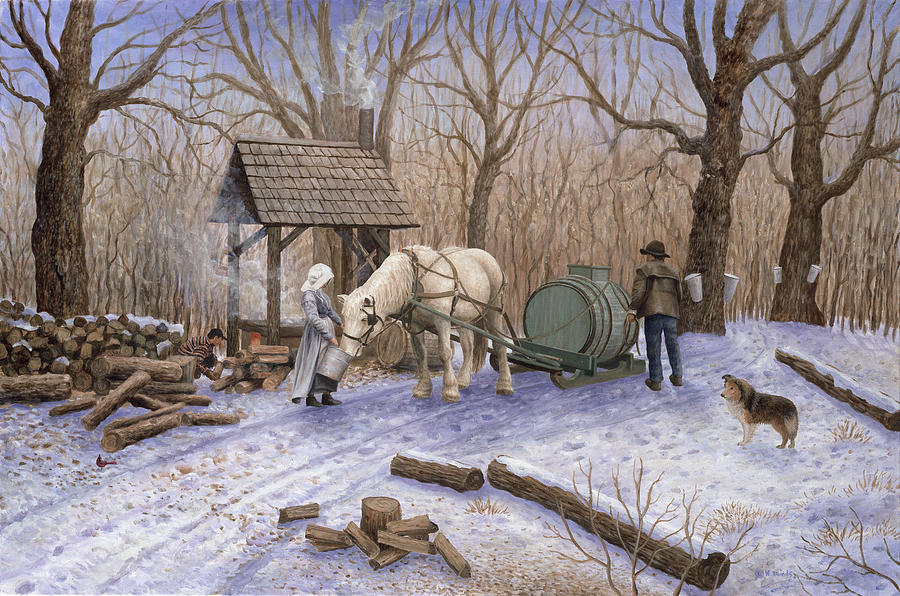 Winter Painting - Maple Syrup Time by Kevin Dodds
