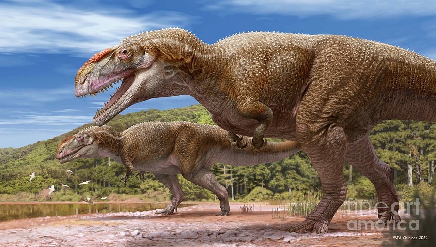 Mapusaurus Dinosaurs by Science Photo Library