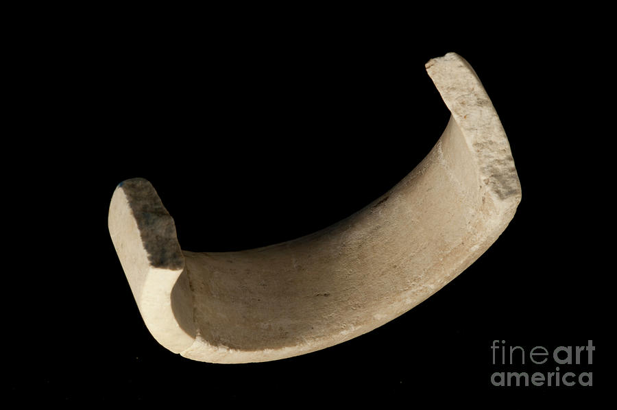 Prehistoric Photograph - Marble Bracelet Excavated From La Draga Neolithic Site by Marco Ansaloni/science Photo Library