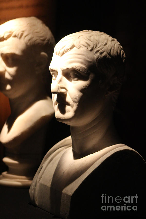 Marble Busts of Romans at Pompeii Exhibits Photograph by Colleen Cornelius