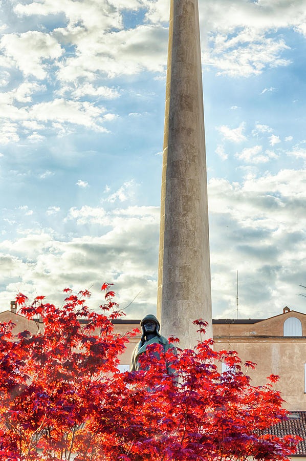 Marble wing and monument behind maple leaves Photograph by Vivida Photo PC