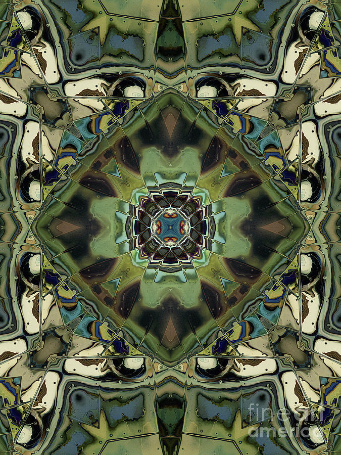 Marbled Moss Mandala Digital Art by Phil Perkins