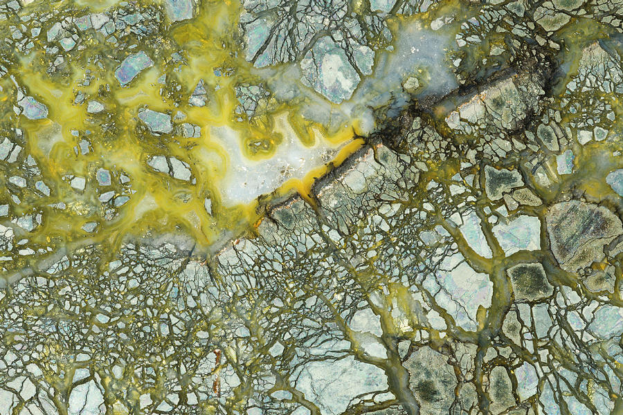 Marcasite Plume Agate Photograph by Mark Windom