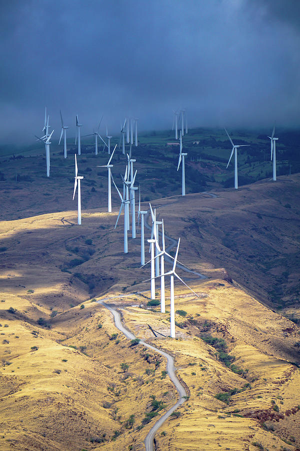 March of the Windmills by Dave Matchett March of the Windmills by Dave Matchett