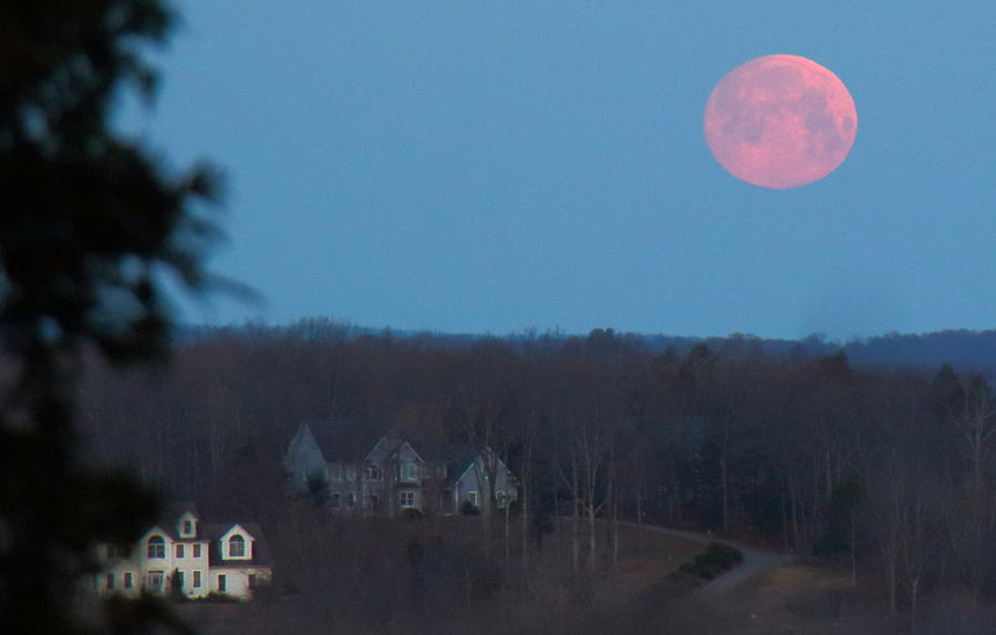 March Super Moon 2019 Photograph by Ursula Fine Art America