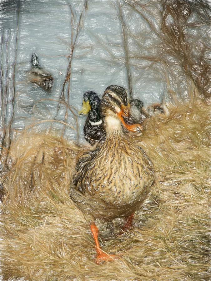 Marching Waterfowl Colored Pencil Photograph by Don Northup