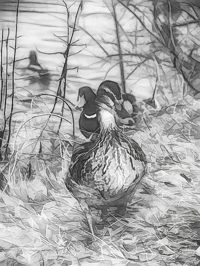 Marching Waterfowl Sketch Photograph by Don Northup