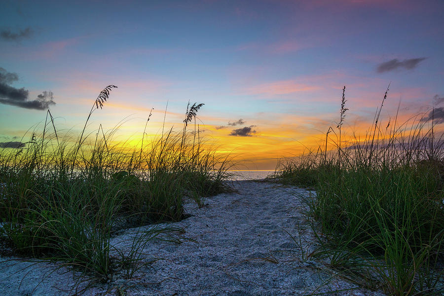 Marco Island Sunset Oats Photograph by Joey Waves