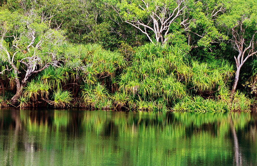 Mardugal Billabong, Kakadu National Photograph by John Banagan Mardugal Billabong, Kakadu National Photograph by John Banagan