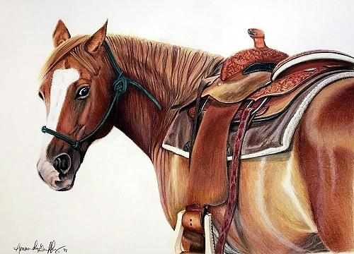 Mare Glare Drawing by Amanda Griffey