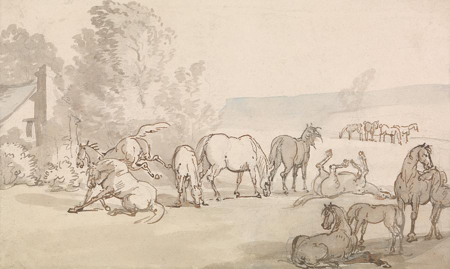 Mares and Foals in a Field Drawing by Thomas Rowlandson
