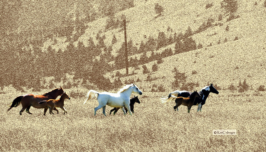 Mares and Foals Running Photograph by Kae Cheatham