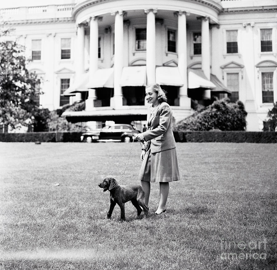 Margaret Truman Walking Her Dog Photograph by Bettmann