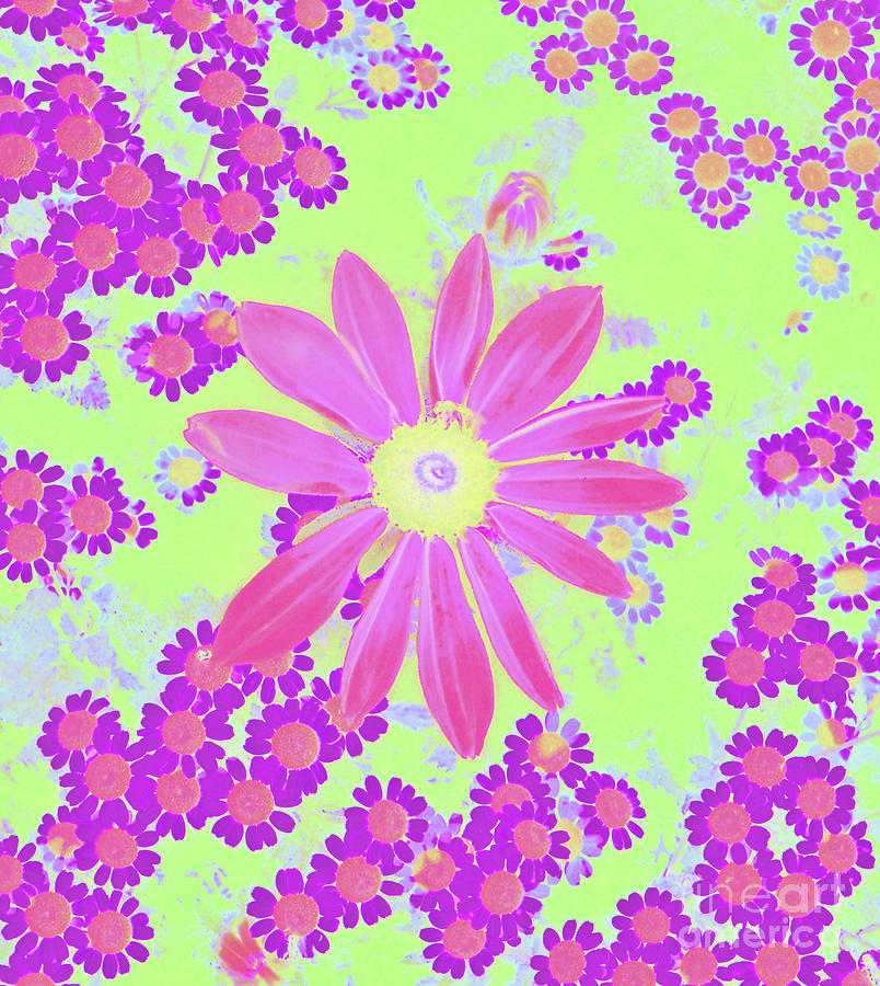 Margaritas Flowers Garden 3 by Cveti Dinkova Margaritas Flowers Garden 3 by Cveti Dinkova