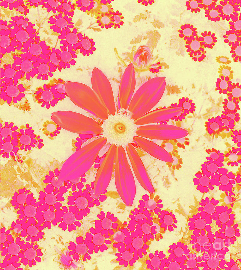 Margaritas Flowers Garden by Cveti Dinkova Margaritas Flowers Garden by Cveti Dinkova
