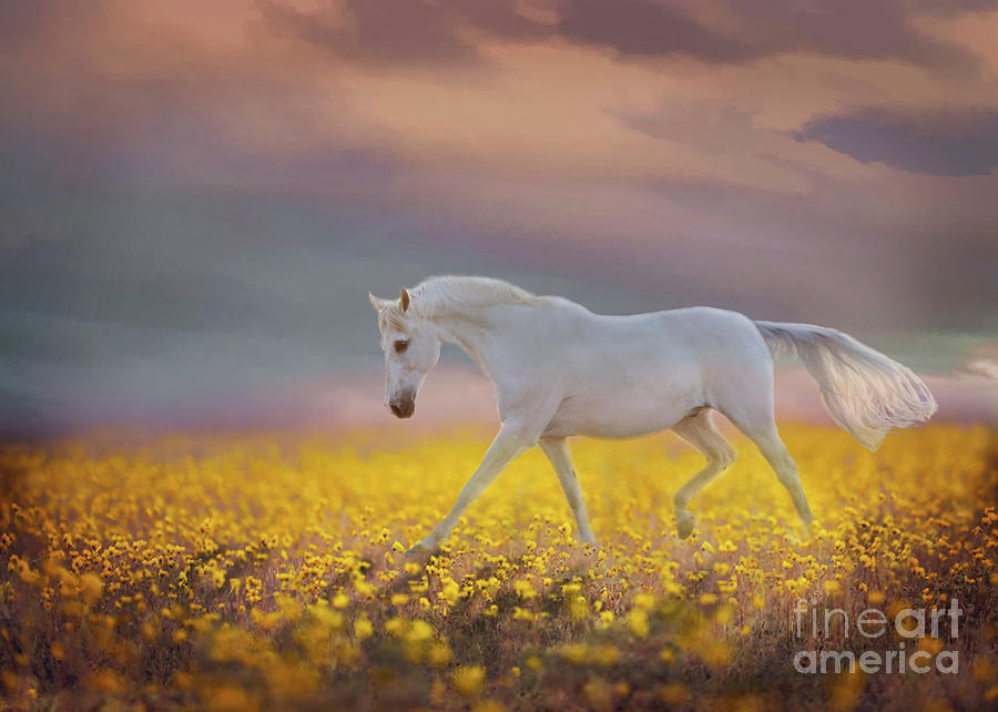 White Stallions Digital Art - Margos Pride and Joy by Melinda Hughes-Berland