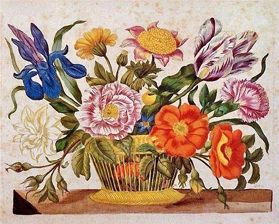 Flower Drawing - Maria Sibylla Merian Floral Artwork by Steeve. E. Flowers.