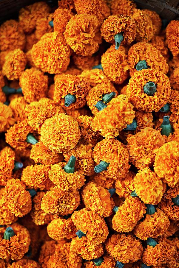 Marigold Garlands At A Flower Market In Mumbai, India Photograph by Ulf Svane